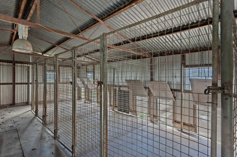 Photo - 8 Brazier Road, Kleinton QLD 4352 - Image 9