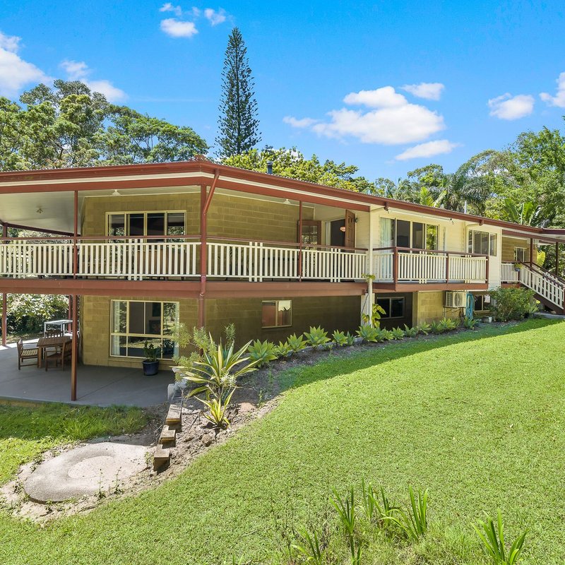 Photo - 8 Burnett Place, Tewantin QLD 4565 - Image 2