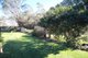 Photo - 8 Campbells River Road, Black Springs NSW 2787 - Image 3