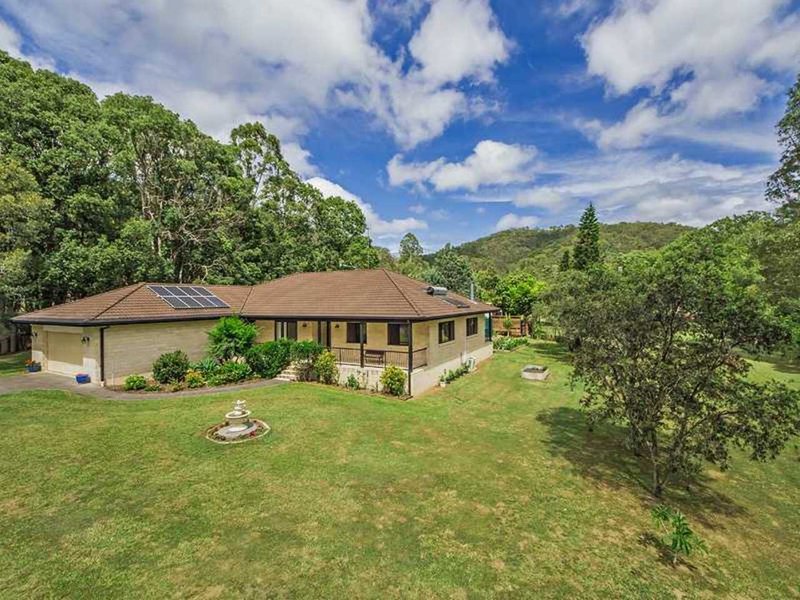 8 Camphorlaurel Court, Tallebudgera QLD 4228