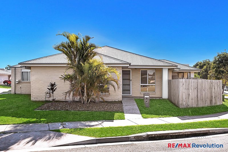 Photo - 8 Carnarvon Court, Pimpama QLD 4209 - Image 14