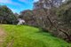 Photo - 8 Carramar Street, Rye VIC 3941 - Image 6