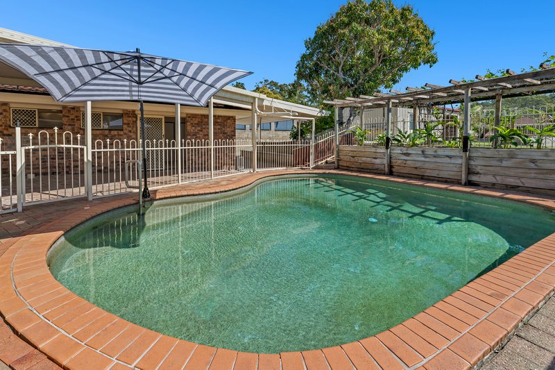 Photo - 8 Cathedral Avenue, Molendinar QLD 4214 - Image 4