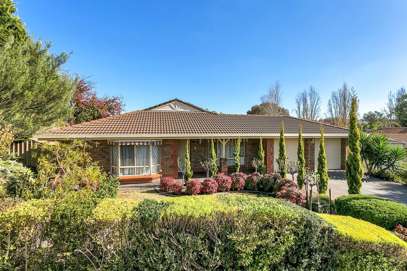 8 Coley Place, Greenwith SA 5125