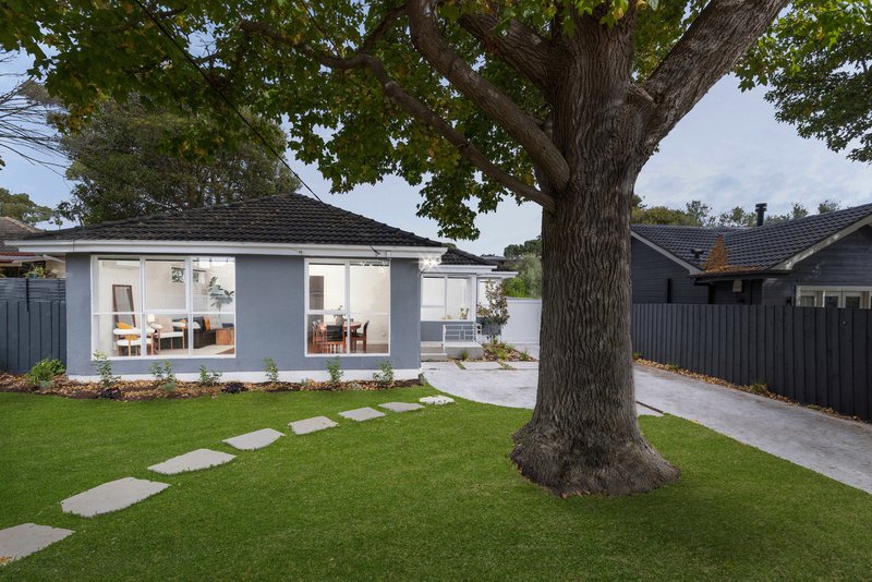 Photo - 8 Coral Street, Frankston VIC 3199 - Image 18