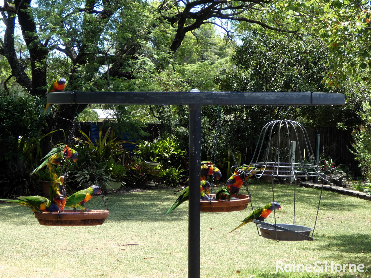 5-bedroom house at 8 Crane Place, Moree, NSW 2400, Moree Plains, New South Wales