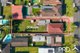 Photo - 8 Doris Street, Picnic Point NSW 2213 - Image 13