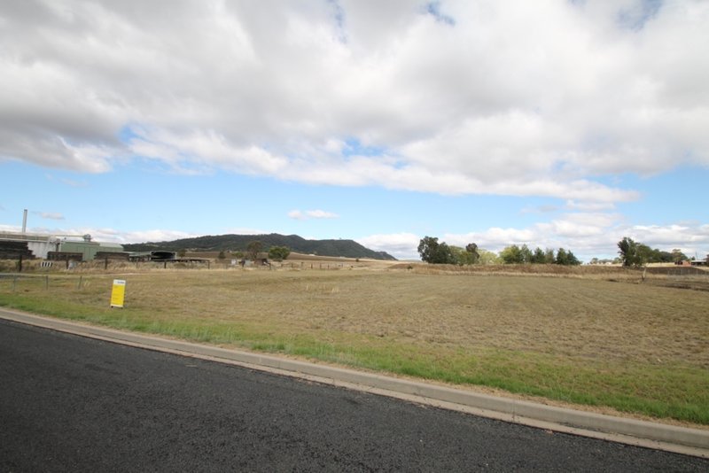 Photo - 8 Dragon Street, Quirindi NSW 2343 - Image 3