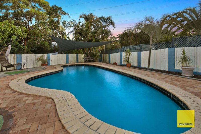 Photo - 8 Echidna Court, Capalaba QLD 4157 - Image 1