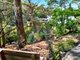 Photo - 8 Ellesmere Road, Gymea Bay NSW 2227 - Image 13