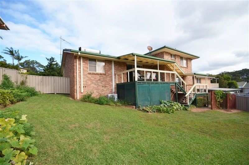 Photo - 8 Emily Avenue, Port Macquarie NSW 2444 - Image 9