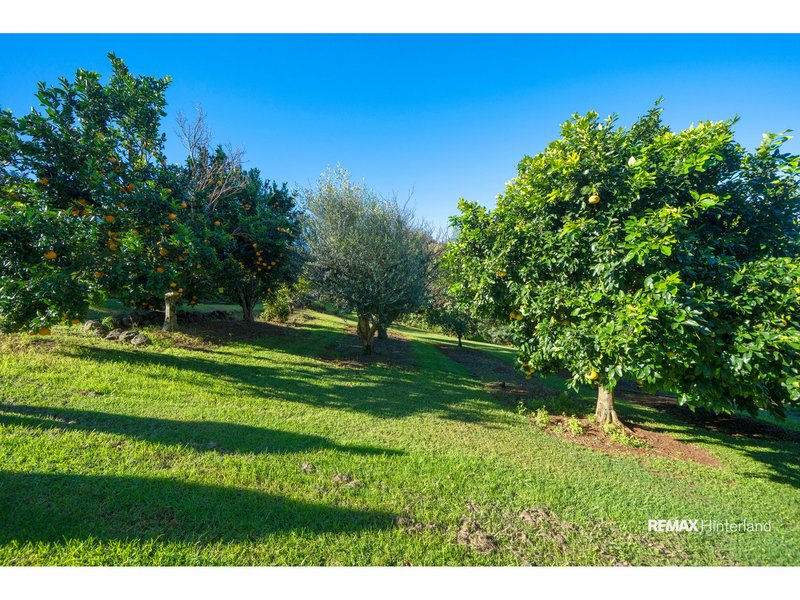 Photo - 8 Esmaurel Close, Mapleton QLD 4560 - Image 32