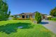 Photo - 8 Falcon Drive, Tamworth NSW 2340 - Image 1