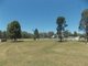 Photo - 8 Federation Street, Ballimore NSW 2830 - Image 1