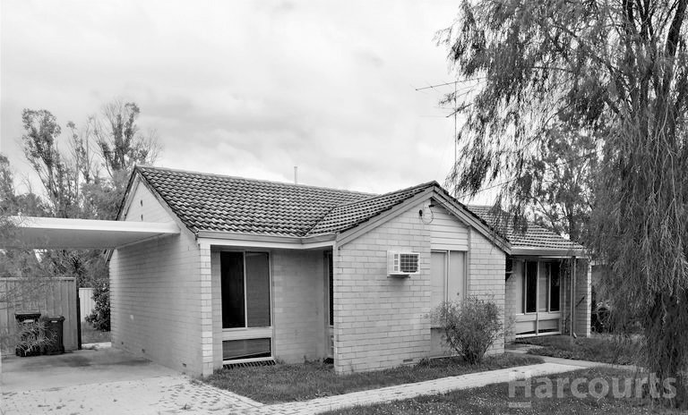 8 Felicia Drive, Pinjarra WA 6208