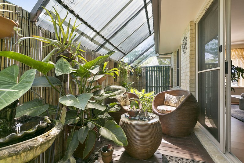 Photo - 8 Ferntree Court, Noosaville QLD 4566 - Image 9