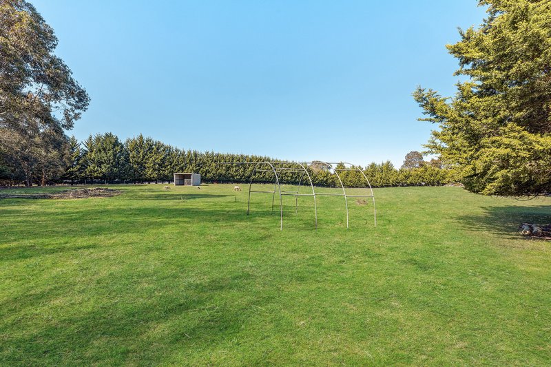 Photo - 8 Fletcher Road, Cranbourne South VIC 3977 - Image 22