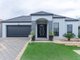 Photo - 8 Freycinet Street, Mawson Lakes SA 5095 - Image 1