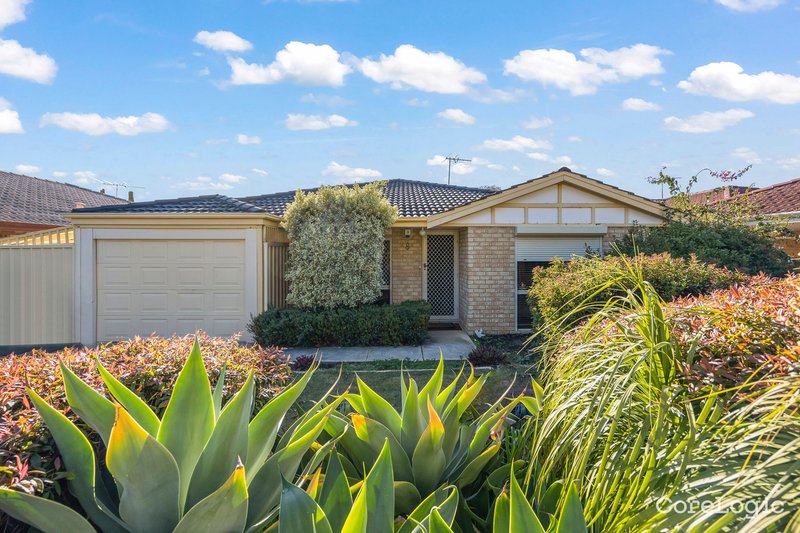 8 Groote Gardens, Ballajura WA 6066