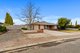 Photo - 8 Harper Street, Nuriootpa SA 5355 - Image 3