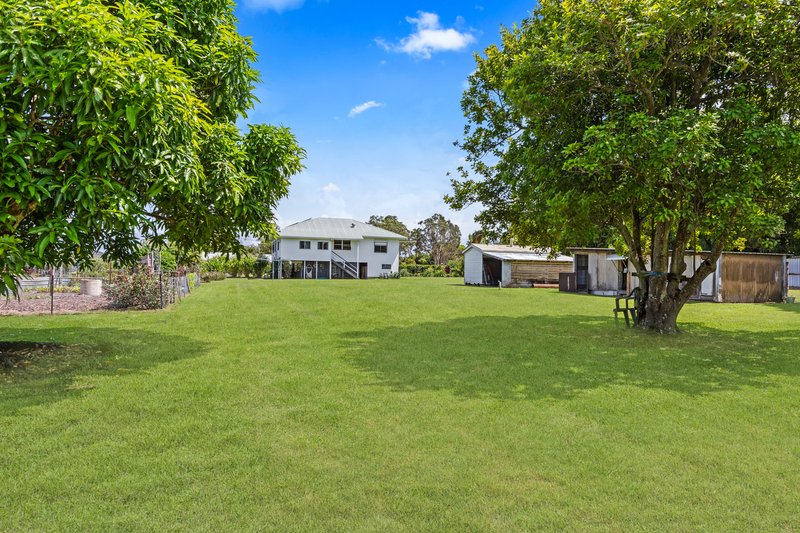 Photo - 8 Hartley Street, Torbanlea QLD 4662 - Image 24