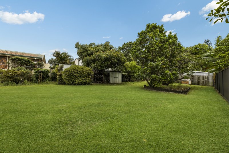 Photo - 8 Henderson Street, Buderim QLD 4556 - Image 6