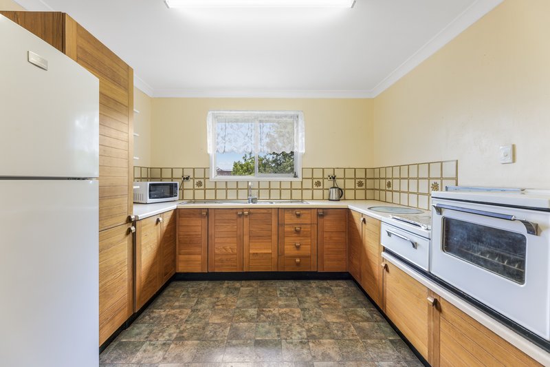 Photo - 8 Henderson Street, Buderim QLD 4556 - Image 7