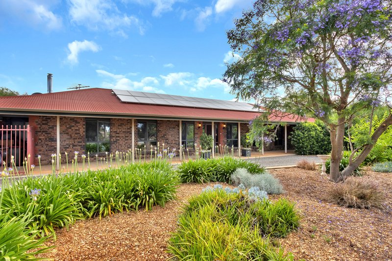 8 Higgins Road, Angle Vale SA 5117