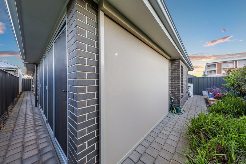 Photo - 8 Hillier Street, Lightsview SA 5085 - Image 18