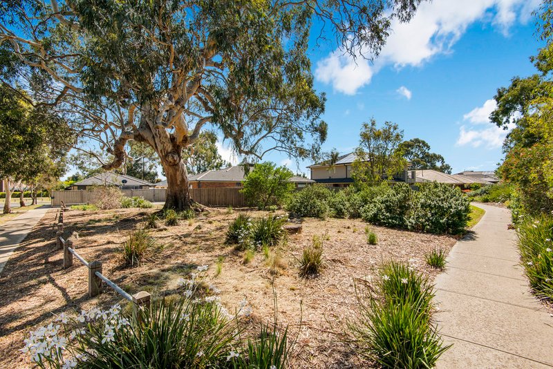 Photo - 8 Homebush Avenue, Mernda VIC 3754 - Image 17