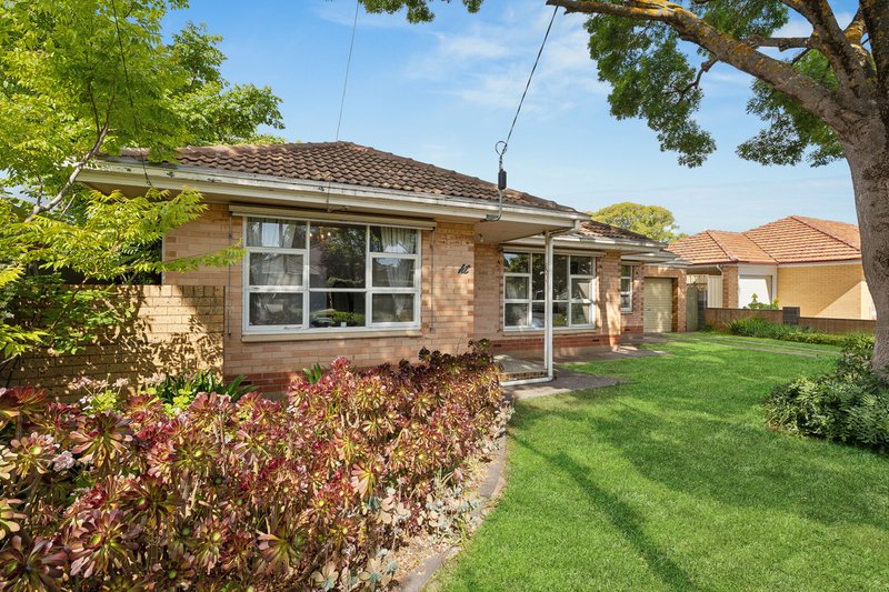 Photo - 8 Hope Street, Daw Park SA 5041 - Image 2