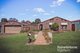 Photo - 8 Jacana Place, Ingleburn NSW 2565 - Image 1