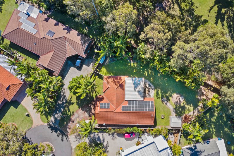 Photo - 8 Jamieson Court, Buderim QLD 4556 - Image 15