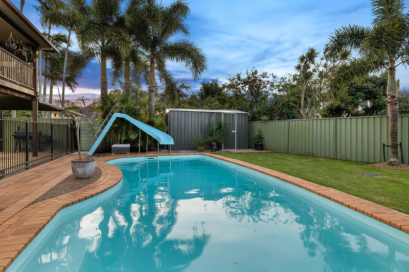 Photo - 8 Juanita Street, Birkdale QLD 4159 - Image 15