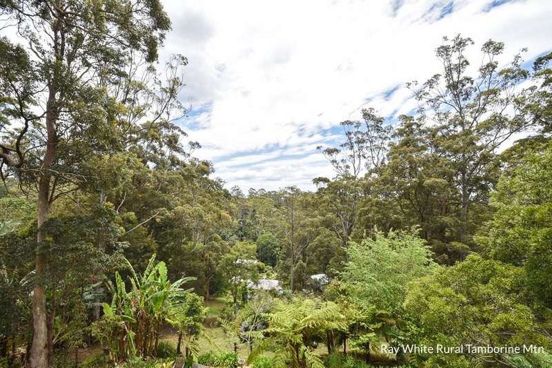 Photo - 8 Katmai Court, Tamborine Mountain QLD 4272 - Image 4