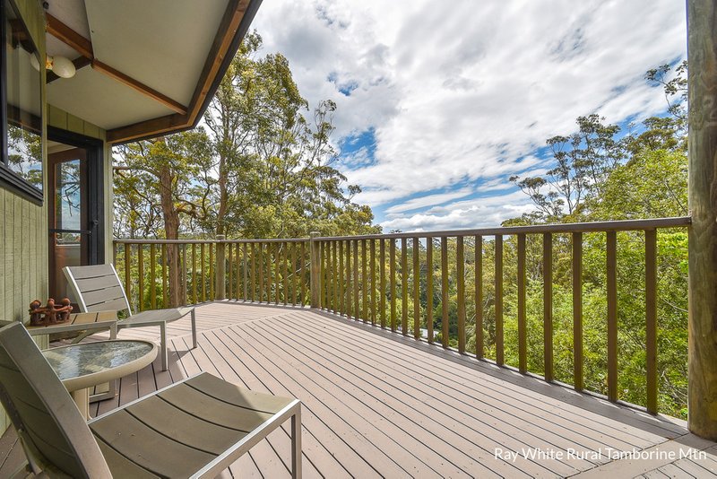 Photo - 8 Katmai Court, Tamborine Mountain QLD 4272 - Image 11