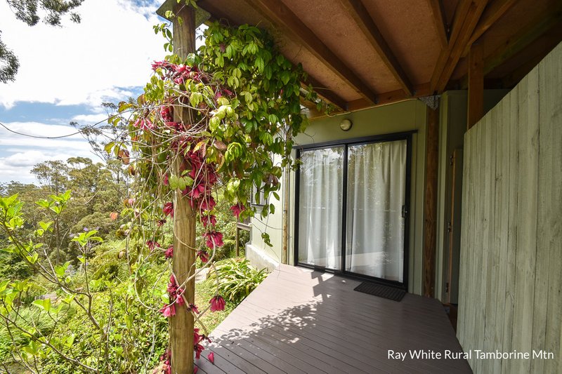 Photo - 8 Katmai Court, Tamborine Mountain QLD 4272 - Image 18