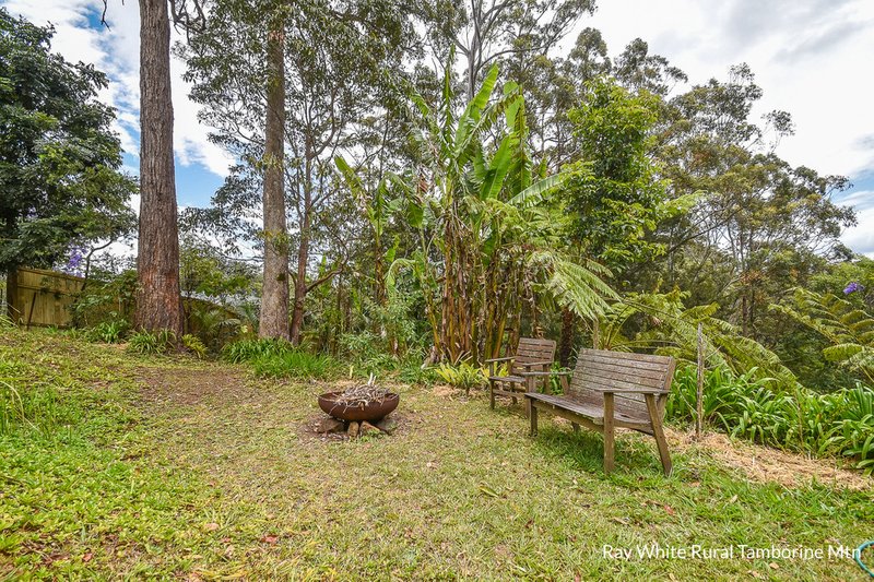 Photo - 8 Katmai Court, Tamborine Mountain QLD 4272 - Image 20