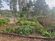 Photo - 8 Korekoba Place, Bolton Point NSW 2283 - Image 18