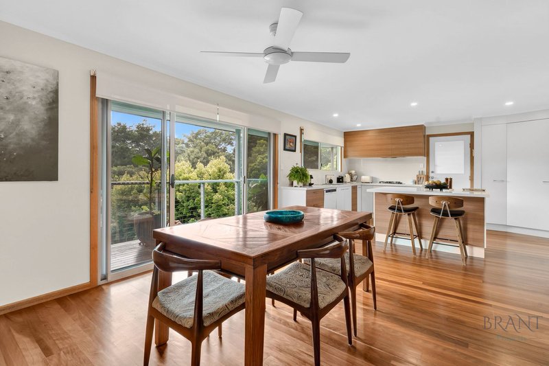 Photo - 8 Laurel Street, Maleny QLD 4552 - Image 6
