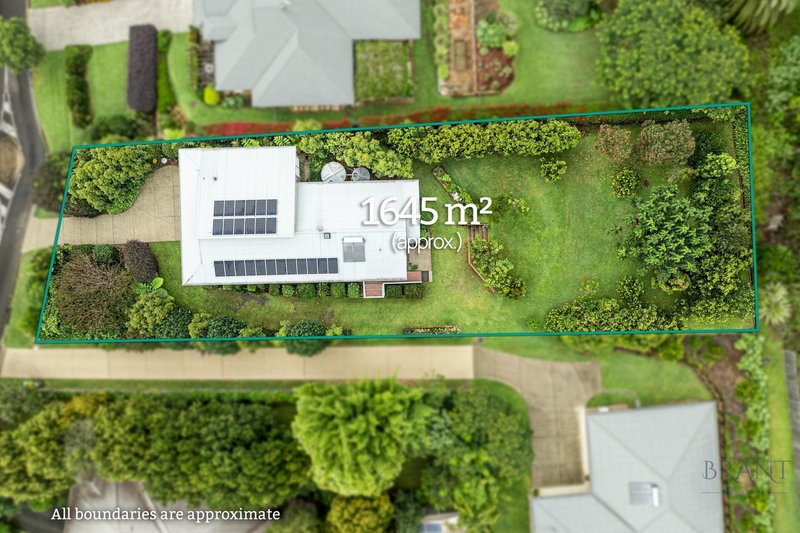 Photo - 8 Laurel Street, Maleny QLD 4552 - Image 23