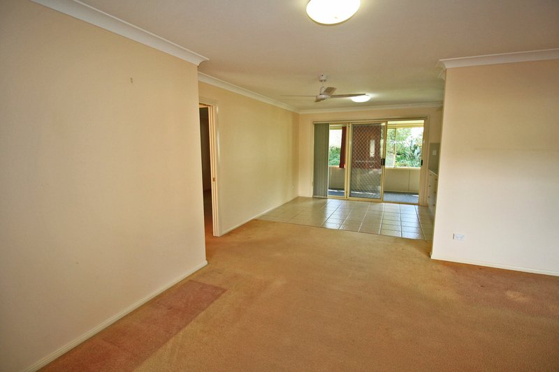 Photo - 8 Lilli Pilli Close, Lakewood NSW 2443 - Image 3