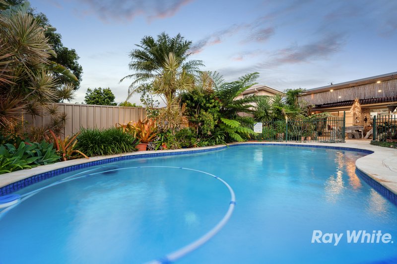 Photo - 8 Lilygreen Court, Springwood QLD 4127 - Image 4