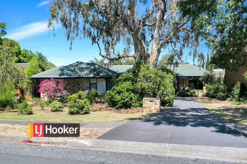 8 Littler Drive, Fairview Park SA 5126