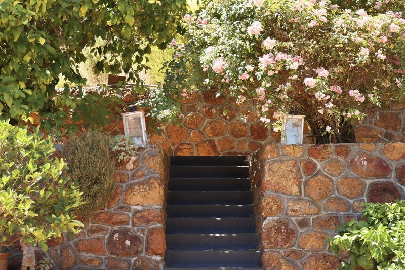 Photo - 8 Loftie Street, Bridgetown WA 6255 - Image 14