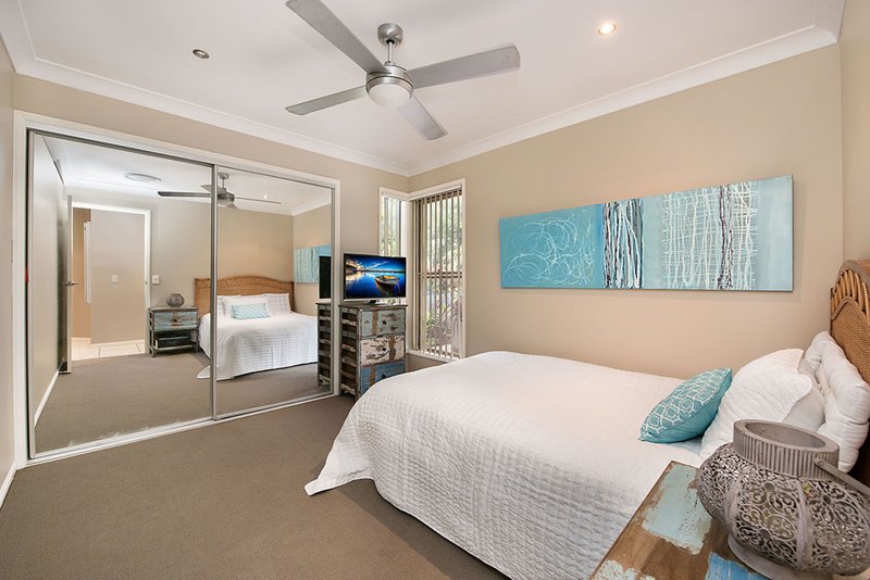 Photo - 8 Lynd Court, Buderim QLD 4556 - Image 6