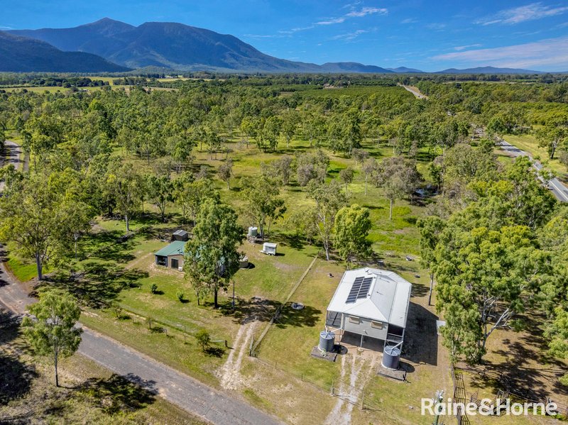 Photo - 8 Maconachies Road, Majors Creek QLD 4816 - Image 13