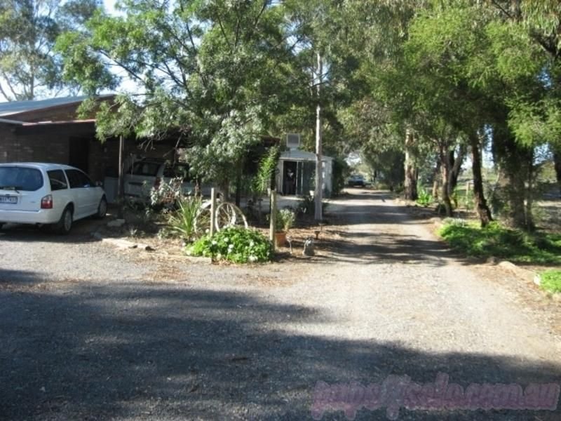 Photo - 8 Maher Drive, Swan Hill VIC 3585 - Image 4