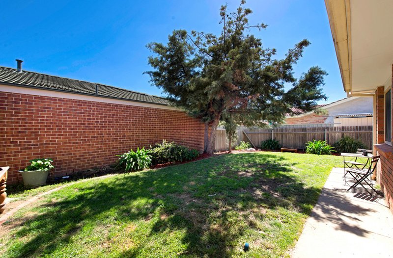 Photo - 8 Maynard Street, Ngunnawal ACT 2913 - Image 14