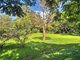 Photo - 8 Mcintosh Road, Bentley NSW 2480 - Image 20